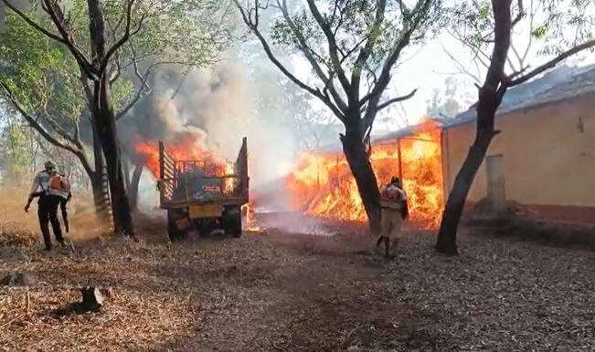पश्चिम घाटात विविध ठिकाणी नरक्या वनस्पती आढळते. नरक्या वनस्पतीची तोडीणी करण्यावर कायद्याने बंदी आहे. दरम्यान, आग आटोक्यात आणण्यासाठी दहा वनमजूर आणि वनपाल यांच्यासह ग्रामस्थांनी शर्थीचे प्रयत्न केले.
