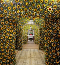 Kamada Ekadashi, Pandharpur: देव माझा विठू सावळा... कामदा एकादशीनिमित्त सूर्यफुलांनी सजला विठुरायाचा गाभारा