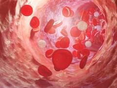 शरीर में कैसे बढ़ता है 'हीमोग्लोबिन'? अगर ये कंट्रोल में नही रहा तो हो जाएंगी कई बीमारियां...