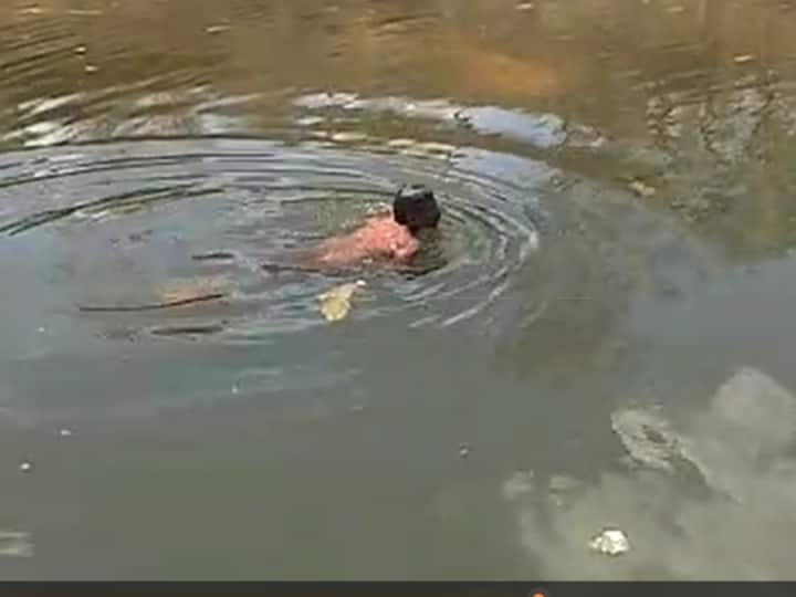 Accident during picnic in Devrani Dai of Chhindwara Madhya Pradesh, three people died due to drowning ANN Chhindwara News: देवरानी दाई में पिकनिक के दौरान हादसा, कुंड से मोबाइल निकालने की कोशिश में तीन लोगों की मौत