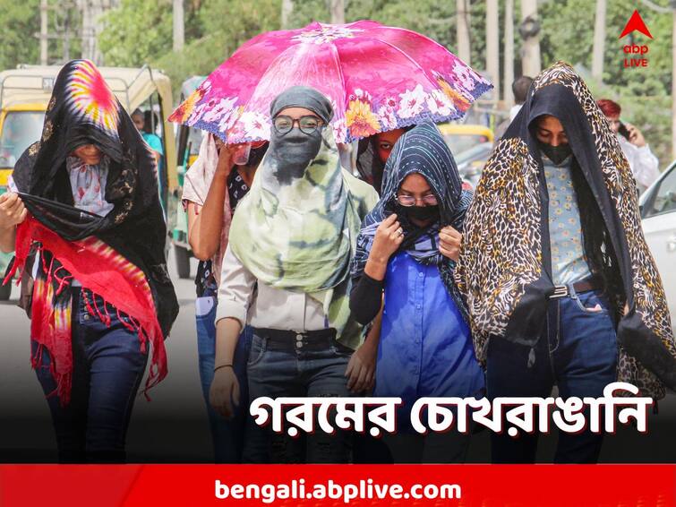 Heat Wave in India Most parts of India to witness more heatwaves than normal this summer Heat Wave in India: ভারতে তাপপ্রবাহের চোখরাঙানি, এপ্রিল-জুনে গরমে নাজেহাল হবে ভারত?