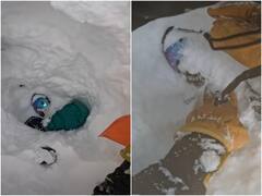 बर्फ की मोटी लेयर के नीचे दफन हो गया स्नोबोर्डर, स्कीयर ने किया हैरतअंगेज रेस्क्यू