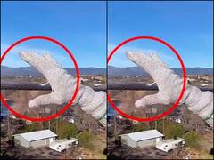 तार में दौड़ रहा था 30 हजार वोल्टेज का करंट, तभी शख्स ने तार को पकड़ लिया... फिर जो हुआ वो Video में देखिए 