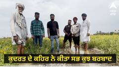 ਕਣਕ ਦੀ ਥਾਂ ਕੀਤੀ ਫੁੱਲਾਂ ਦੀ ਖੇਤੀ, ਚੰਗੇ ਮੁਨਾਫੇ ਦੀ ਸੀ ਉਮੀਦ, ਅਚਾਨਕ ਕੁਦਰਤ ਦੇ ਕਹਿਰ ਨੇ ਕੀਤਾ ਸਭ ਕੁਝ ਬਰਬਾਦ