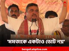 'সাফ করতে হবে তৃণমূলকে, মমতাকে একটাও ভোট নয়', তোপ শুভেন্দুর