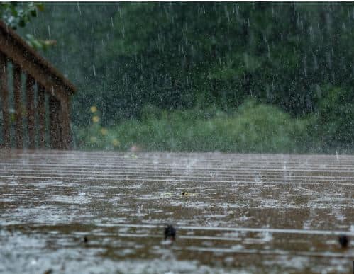 Maharashtra Rain Warning of unseasonal rain in the state for the next five days from today Maharashtra Rain : पुढील पाच दिवस राज्यात अवकाळीचा इशारा, मध्य महाराष्ट्रासह मराठवाड्यात पावसाचा अंदाज  