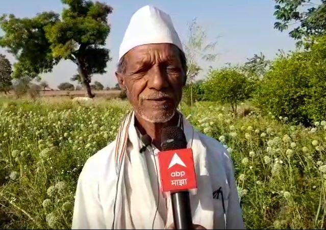 दिवसेंदिवस नेहमी शेतशिवरात दिसणारे मधमाशांची पोळे आता कुठे दिसत नाहीत. त्यामुळं आता बियाणे उत्पादक शेतकरी चांगलेच चिंतेत सापडले आहेत.