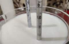 Kisan Sabha : मिल्कोमीटरचे नियमित प्रमाणीकरण दूध कंपन्यांना बंधनकारक