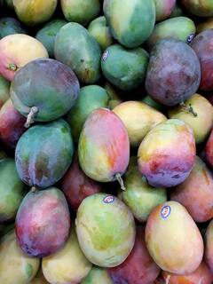 Varieties Of Mango: इतनी वैरायटी के होते हैं आम, इन्हें खाने से मिलते हैं एक नहीं कई फायदे