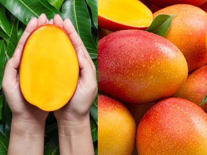Varieties Of Mango: आम को ऐसे ही फलों का राजा नहीं कहा जाता है ,अगर बात करें इसके किस्मों की तो सिर्फ हमारे भारत में ही करीब 15 से ज्यादा किस्म के आम पाए जाते हैं.