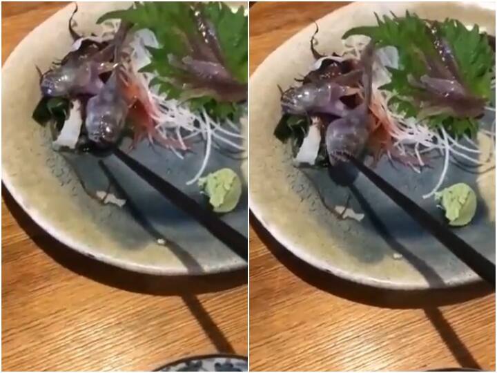 fish served in  plate inside Japanese restaurant is suddenly being seen alive viral video Video: प्लेट में परोसी गई मछली अचानक हो गई जिंदा, चॉपस्टिक को काटते देख घबराए यूजर्स 