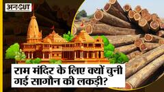Ram Mandir Ayodhya: क्या है सागौन लकड़ी जिससे होना है मंदिर के 42 दरवाजो का निर्माण, क्या है खास?