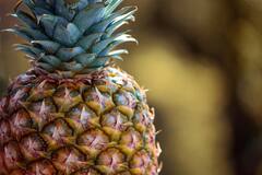 Pineapple Tingling Sensation: जी हां... अगर पाइनेप्पल को 1 मिनट भी मुंह में रखा तो गड़बड़ हो जाएगा! फिर कैसे खाना चाहिए ?