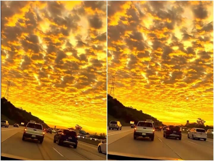 Sunlight fills sky with yellow color at sunset Awesome video goes viral डूबते सूरज ने आसमान को किया पीले रंग से सराबोर, लोगों को पसंद आ रहा है इस वक्त का वीडियो