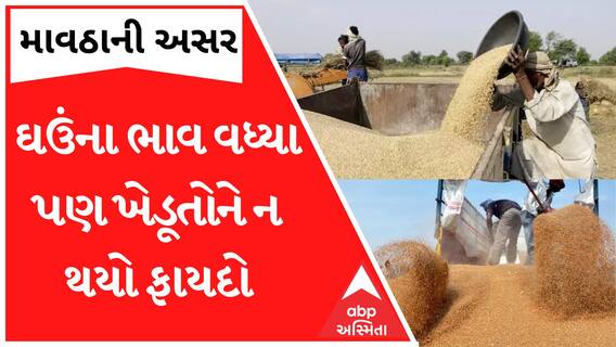 માવઠાના કારણે ઘઉંના વધ્યા ભાવ પણ ખેડૂતોને ન થયો કોઈ ફાયદો.. Watch Video