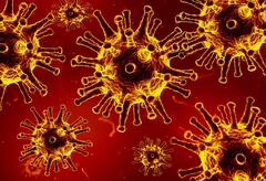 Coronavirus Update : করোনা আক্রান্তের সংখ্যা বাড়ছে দ্রুত, বিশেষ বার্তা কেন্দ্রীয় স্বাস্থ্যমন্ত্রীর