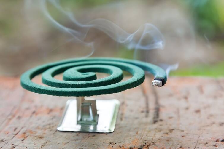 Not only mosquitoes can also kill Mosquito Coil, think before applying ALERT !  માત્ર મચ્છરો જ નહીં Mosquito Coil પણ લઈ શકે છે જીવ, લગાવતાં પહેલા કરો વિચાર