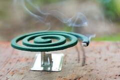 ALERT ! માત્ર મચ્છરો જ નહીં Mosquito Coil પણ લઈ શકે છે જીવ, લગાવતાં પહેલા કરો વિચાર