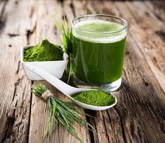 Benefits Of Wheat Grass Juice: गर्मी में डाइट में जरूर शामिल करें वीट ग्रास जूस, जानें- कैसे बनता है?