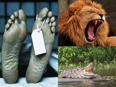 हर साल 10 लाख लोगों की जान ले लेता है ये 'जीव'... रहता भी हमारे आसपास ही है