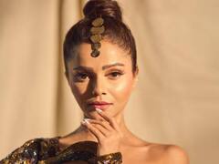 Rubina Dilaik Struggle: गांव की छोरी से TV क्वीन कैसे बनीं रुबीना दिलैक, दिलचस्प है एक्ट्रेस बनने तक का सफर