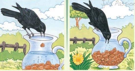 Crow uses pebbles to drink water from bottle, viral video will remind you of 'thirsty crow' story Viral Video: હવે સામે આવ્યો Thirsty Crowનો વીડિયો, બોટલમાં પથ્થર નાખીને તરસ છીપાવી રહ્યો હતો કાગડો