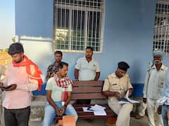 बांका में ऑटो चालक ने पेड़ में मारी जोरदार टक्कर, तीन की मौत, सात घायल