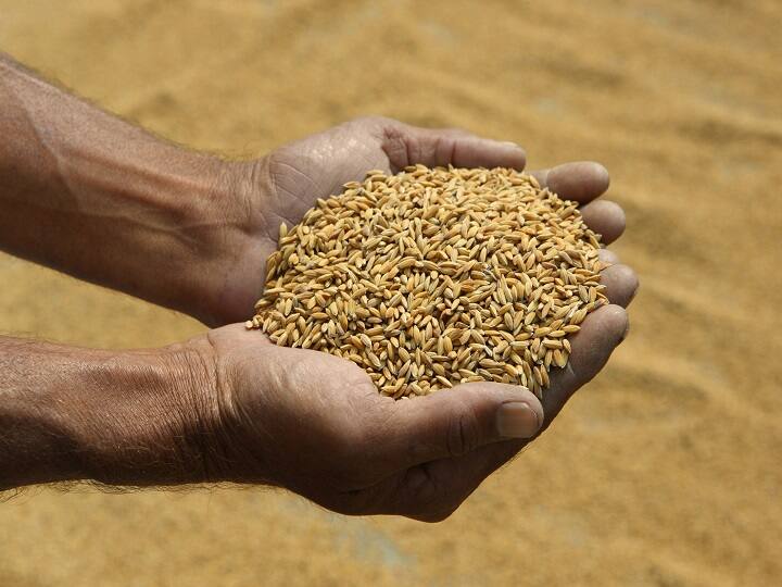 UP govt plan to Provide agricultural investment relief grant to farmers Along with Damaged Crop Purchase अन्नदाताओं को बड़ी राहत...बारिश-ओलावृष्टि से खराब हुई फसल खरीदने जा रही सरकार, जल्द मिलेगा कृषि निवेश राहत अनुदान