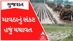 Unseasonal Rainfall Forecast: રાજ્યમાં ફરી આ બે દિવસે આવશે વરસાદ, જાણો હવામાન વિભાગની આગાહી
