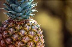 Pineapple Tingling Sensation: ਜੀ ਹਾਂ...ਜੇਕਰ ਅਨਾਨਾਸ ਨੂੰ 1 ਮਿੰਟ ਵੀ ਮੂੰਹ 'ਚ ਰੱਖਿਆ ਤਾਂ ਗੜਬੜ ਹੋ ਜਾਵੇਗੀ! ਫਿਰ ਕਿਦਾਂ ਖਾਣਾ ਚਾਹੀਦਾ?