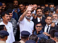 'एक सांसद को उसकी हैसियत के कारण...', राहुल गांधी ने सूरत कोर्ट में दाखिल अर्जी में क्या कुछ कहा?