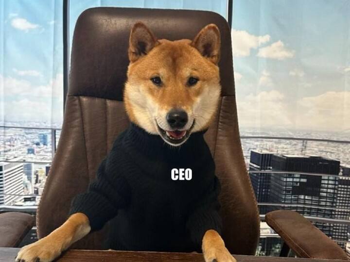 Twitter Logo Changed and bird replaced by dog know why is it spcial Dog and is it elon musk pet ट्विटर पर चिड़िया की जगह आया कुत्ता... क्या ये एलन मस्क का है, जो पहले CEO भी बना था! इसमें ये है खास बात