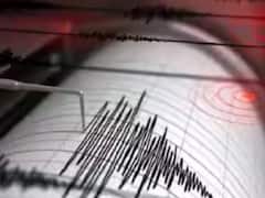 Indonesia Earthquake: ઇન્ડોનેશિયામાં 7.3 તીવ્રતાનો ભૂકંપ, સુનામીનું એલર્ટ જાહેર