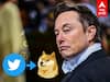 Twitter Logo: ”சொன்னதை செய்வேன் செய்றததான் சொல்வேன்” Blue Bird-க்கு பதில் Doge... லோகோவை மாற்றிய மஸ்க்..