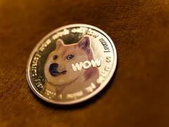 IN PICS | As Twitter Changes Logo To Doge, Here's How CEO Elon Musk Became 'Dogefather'