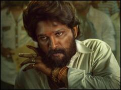 'पुष्पा' से पहले इन फिल्मों में दिख चुकी है खतरनाक स्मगलिंग, बच्चों के साथ भूलकर भी ना देखें!