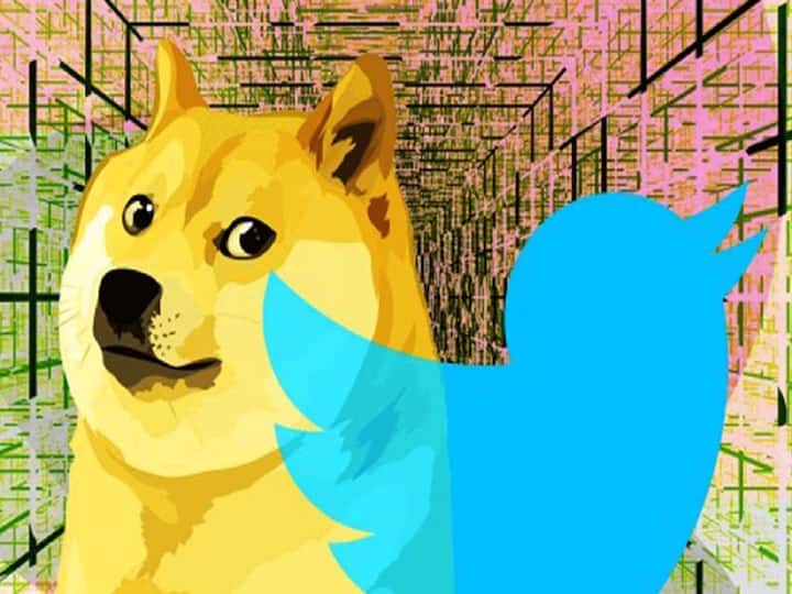 Twitter Logo Elon Musk Replaces the Iconic Twitter Bird Logo with Dog Icon Know Reason Twitter Logo: ట్విట్టర్ లోగో మారింది, పిట్ట పోయి కుక్క వచ్చింది!