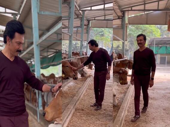 'आपल्या देशात अनेक ठिकाणी अजूनही अजूनही गाईंची...'; मिलिंद गवळींची पोस्ट चर्चेत 'आपल्या देशात अनेक ठिकाणी अजूनही अजूनही गाईंची...'; मिलिंद गवळींची पोस्ट चर्चेत