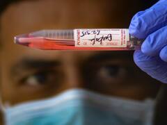 हिमाचल प्रदेश में कोरोना के 306 नए मामले, सक्रिय मामलों की संख्या 1493 पर पहुंची