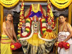 ఏప్రిల్ 5న ఒంటిమిట్టలో శ్రీ సీతారాముల కల్యాణం, లైవ్ ఏ ఛానెల్‌లోనో తెలుసా?