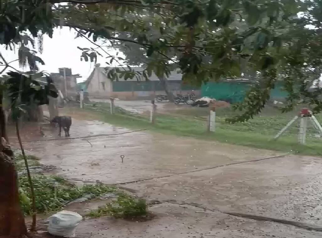 Rain Update : छत्रपती संभाजीनगर जिल्ह्याला पुन्हा अवकाळीचा फटका; वीज पडून एकाचा मृत्यू Chhatrapati Sambhaji Nagar unseasonal rain again One died due to lightning Unseasonal rain maharashtra News Chhatrapati Sambhaji Nagar Rain Update : छत्रपती संभाजीनगर जिल्ह्याला पुन्हा अवकाळीचा फटका; वीज पडून एकाचा मृत्यू