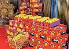 Pune Alphonso Mango In EMI : पुण्यात आता आंबेही EMI वर मिळणार; राज्यातील पहिलाच प्रयोग असल्याचा दावा