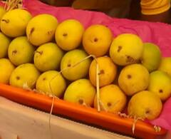 Pune Alphonso Mango In EMI : पुण्यात आता आंबेही EMI वर मिळणार; राज्यातील पहिलाच प्रयोग असल्याचा दावा
