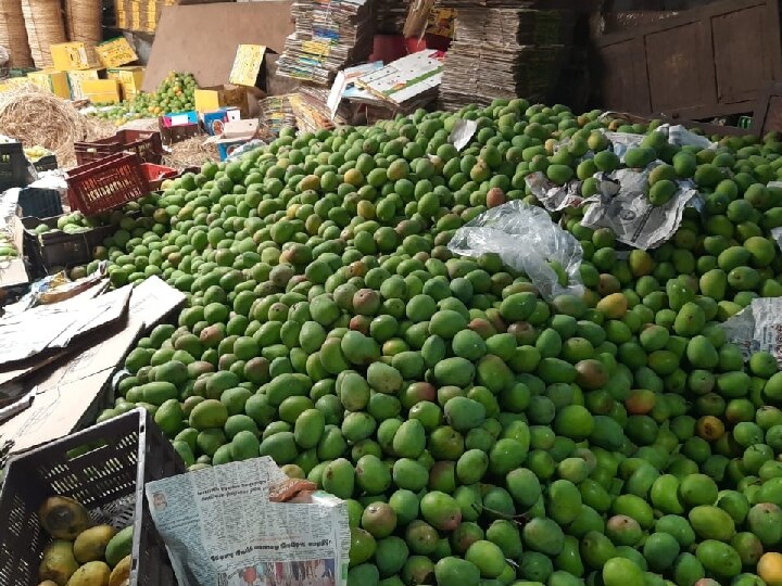 Salem Mango: மாம்பழம் சீசன் வந்த பிறகும் சேலம் சந்தையில் வரப்பு இல்லை - விலை உயரும் அபாயம்