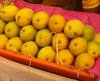 Pune Alphonso Mango In EMI : पुण्यात आता आंबेही EMI वर मिळणार; राज्यातील पहिलाच प्रयोग असल्याचा दावा