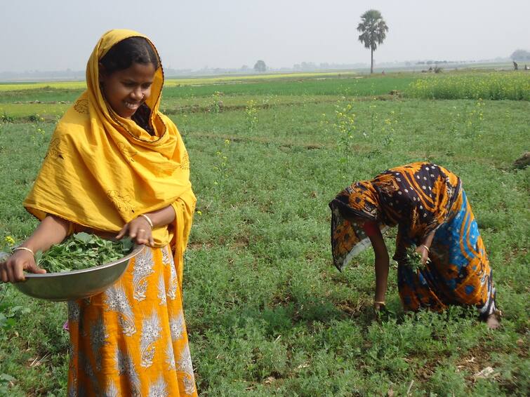 Agriculture News:  Make daughters farmers, the government will give 40,000 rupees every year Government Schemes: દીકરીઓને બનાવો ખેડૂત, સરકાર દર વર્ષે આપશે 40,000 રૂપિયા, ખૂબ શાનદાર છે આ યોજના