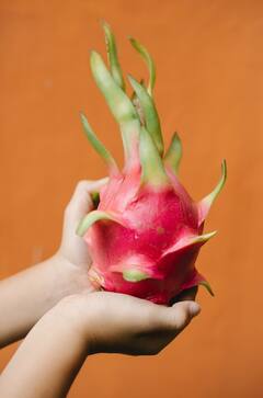 Dragon Fruit Benefit: जेब पर भारी पर आपको ​बीमारियों से रखेगा दूर, ड्रैगन फ्रूट के है कई फायदे