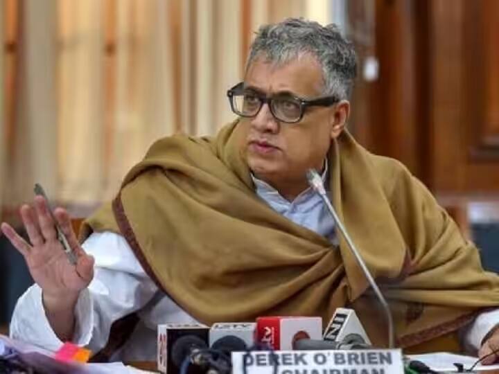 Trinamool Congress MP Derek OBrien slams  Government on Parliament Budget Session Derek O'Brien Slams Government: 'सीरियस वेरी सीरियस', संसद नहीं चलने पर भड़के TMC सांसद डेरेक ओ ब्रायन