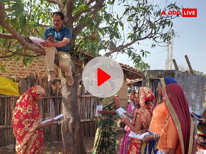 Watch: लाडली बहना योजना के फॉर्म भरने के लिए पेड़ पर चढ़े सचिव, इंटरनेट सर्वर डाउन होने पर दिखा दिलचस्प नजारा Ladli Bahana Yojana Internet Server Down Secretary Climbs on Tree to Fill Forms for women ANN Watch: लाडली बहना योजना के फॉर्म भरने के लिए पेड़ पर चढ़े सचिव, इंटरनेट सर्वर डाउन होने पर दिखा दिलचस्प नजारा
