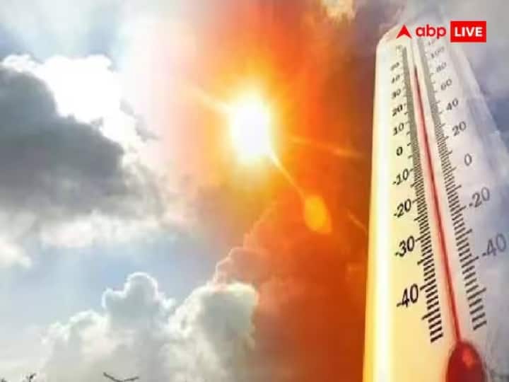 Maharashtra Weather Temperature rose in Vidarbha Maharashtra news   Temperature :  विदर्भात उष्णतेच्या लाटेचा इशारा, काही जिल्ह्यातील तापमानाचा पारा 45 अंशावर; विजेच्या दरात वाढ 